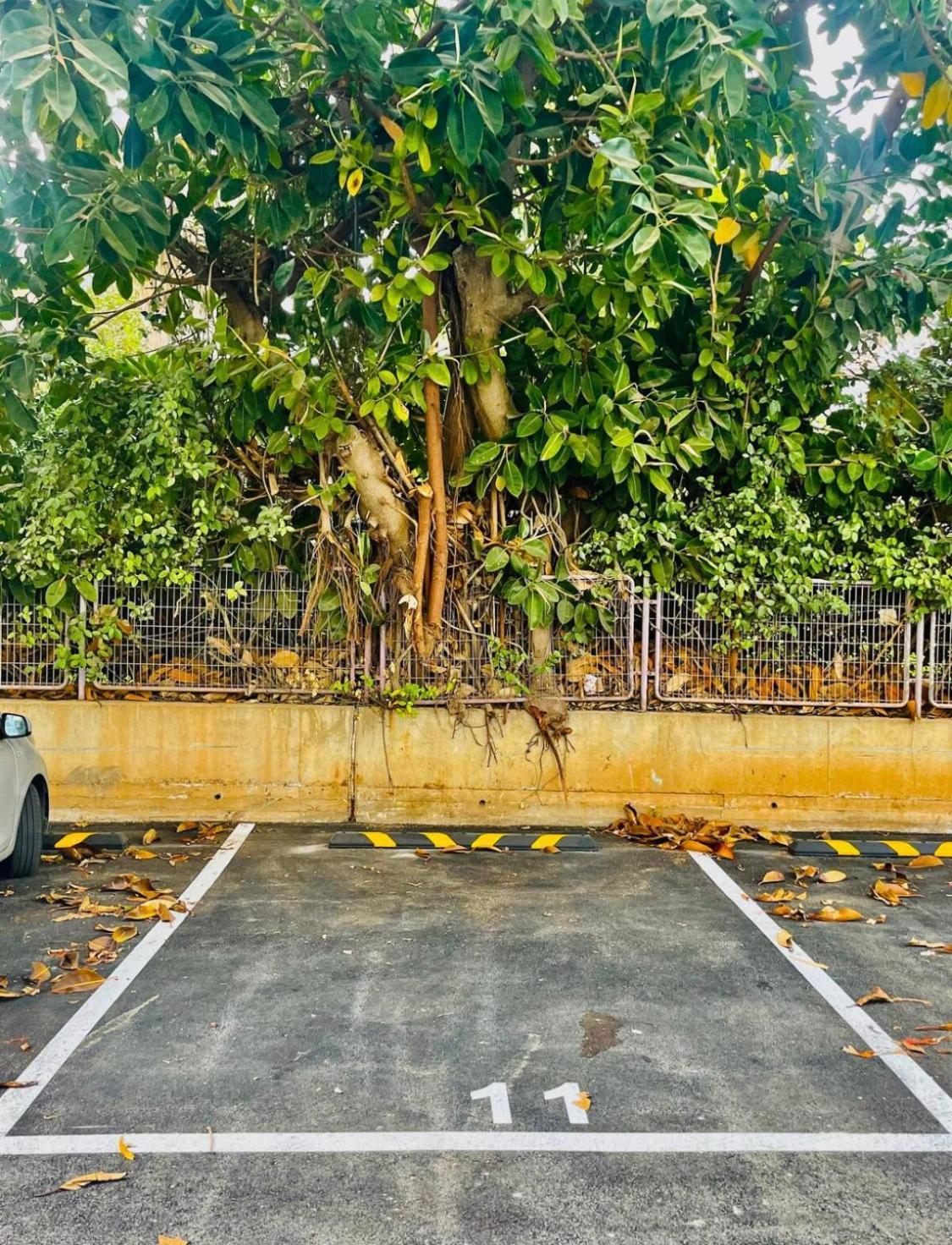 High-End Apartment , With A Private Parking And An Elavator Tel Aviv Esterno foto